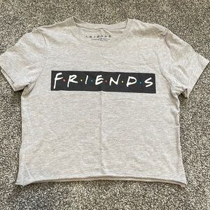 Grey friends crop top